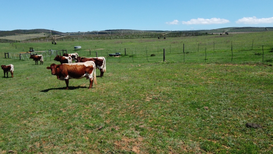 Commercial Property for Sale in Mossel Bay Rural Western Cape